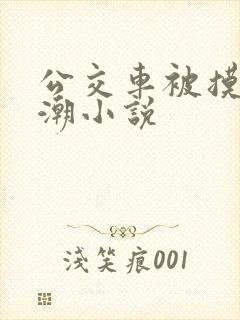 公交车被摸到高潮小说