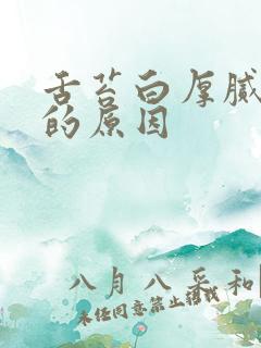 舌苔白厚腻口臭的原因