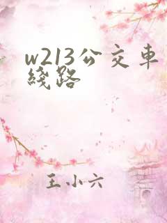 w213公交车线路
