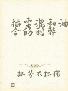插电混和油电混合的利弊