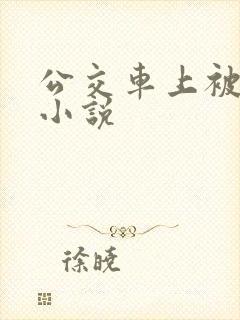 公交车上被蹭 小说