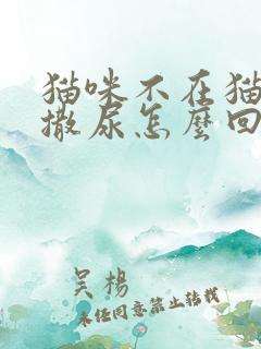 猫咪不在猫砂盆撒尿怎么回事