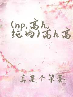 (np,高h,纯肉)高h高辣