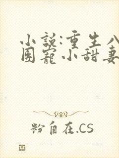 小说:重生八零团宠小甜妻