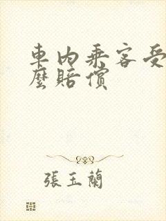 车内乘客受伤怎么赔偿