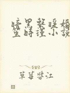 暗黑系暖婚姜九笙时瑾小说