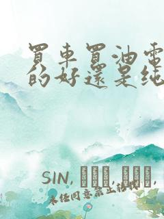买车买油电混合的好还是纯油的好