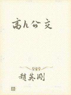 高h公交