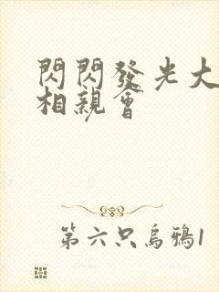 闪闪发光大团圆相亲会