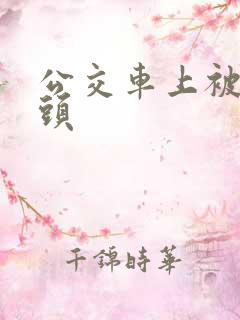 公交车上被摸奶头