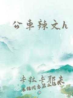 公车辣文h