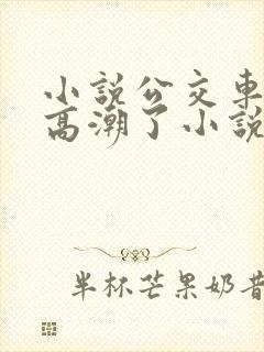 小说公交车被上高潮了小说