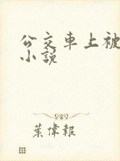 公交车上被人摸小说