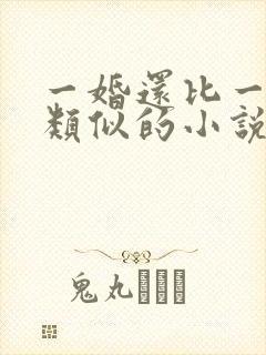 一婚还比一婚高类似的小说推荐