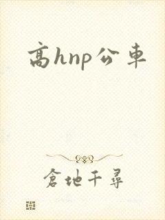 高hnp公车