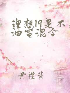 理想l9是不是油电混合