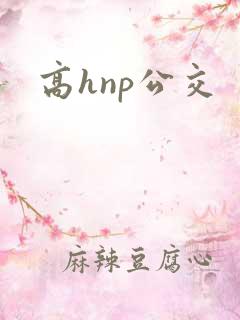 高hnp公交