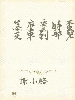 怎么实时查看公交车到哪儿了
