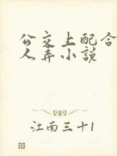 公交上配合陌生人弄小说