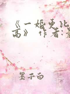 《一婚更比一婚高》 作者:晨雾的光