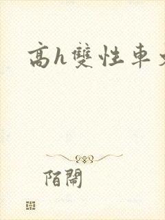 高h双性车文