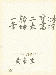 一胎二宝:冰山爹地太高冷免费阅读