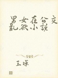 男女在公交车上乱欲小说
