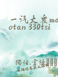 一汽大众magotan 330tsi