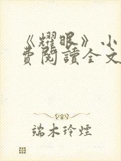 《耀眼》小说免费阅读全文
