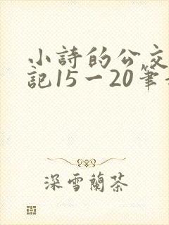 小诗的公交车日记15一20笔趣阁