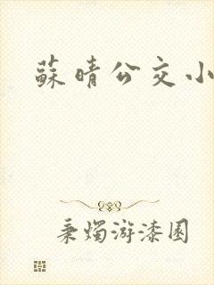 苏晴公交小说
