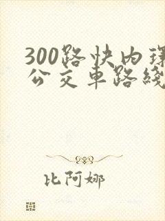 300路快内环公交车路线图