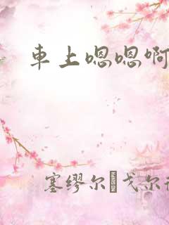 车上嗯嗯啊啊