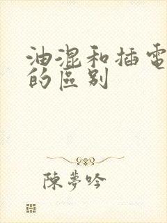 油混和插电混动的区别