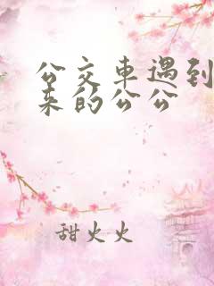公交车遇到农村来的公公