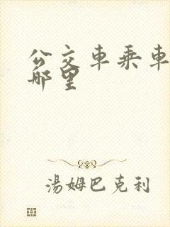 公交车乘车码扫哪里