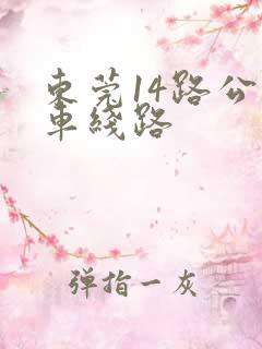 东莞14路公交车线路