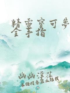精灵宝可梦黑2金手指