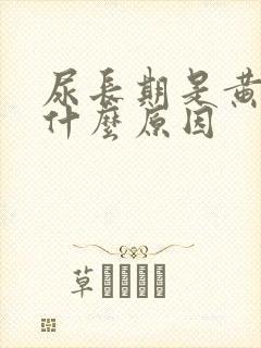 尿长期是黄的是什么原因