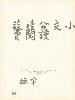 苏晴公交小说免费阅读