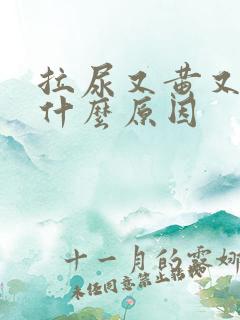 拉尿又黄又臭是什么原因