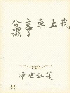 公交车上我被摸湿了