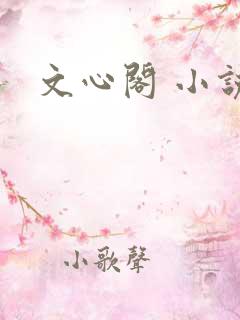 文心阁 小说