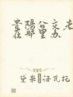 贵阳公交老年卡在哪里办