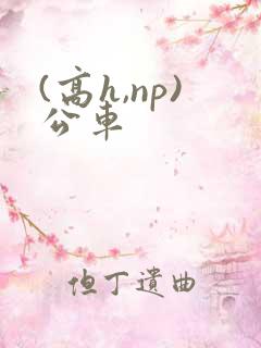 (高h,np)公车