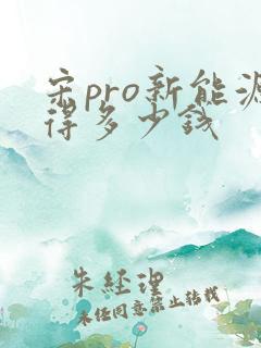 宋pro新能源得多少钱