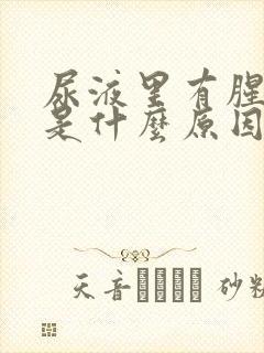 尿液里有腥臭味是什么原因