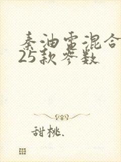 秦油电混合2025款参数