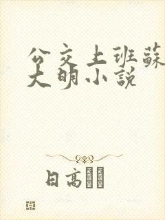 公交上班苏晴杨大明小说
