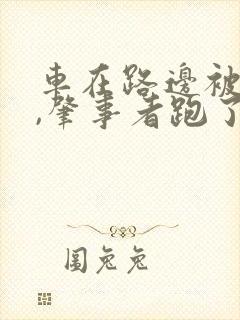 车在路边被撞了,肇事者跑了怎么办